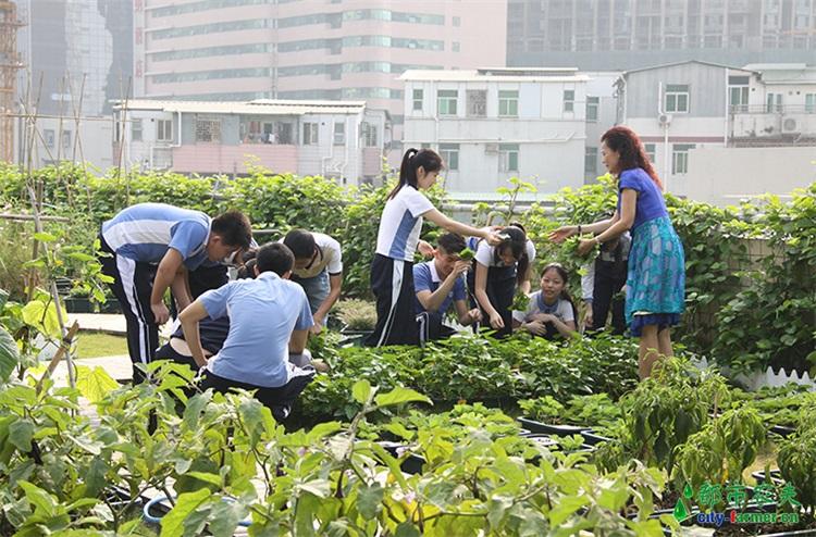 教育观察：孩子劳动教育 究竟难在哪儿？