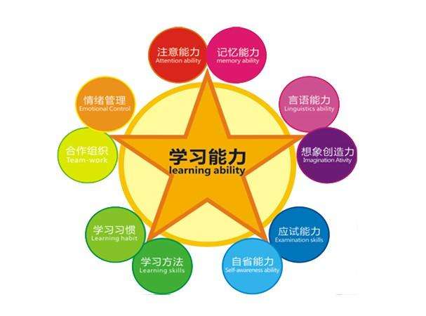 合肥市8.2万多名小学生首获“学习能力”报告单